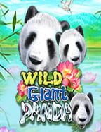 เข้า gclub ไม่ ได้เว็บ jetsadabet ดี ไหม? มาสำรวจกัน!